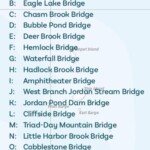 Carraige Road Bridges Key Snapshot scaled